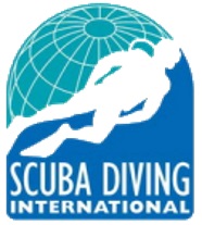 logo SDI