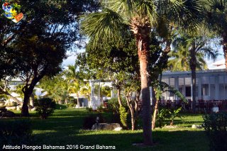 Bahamas lundi 8 février 2016 15:29:25 