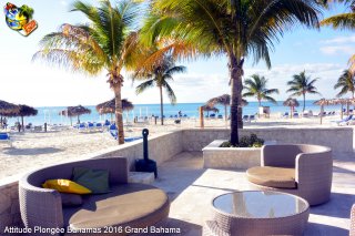 Bahamas lundi 8 février 2016 16:04:14 