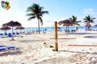 Bahamas lundi 8 février 2016 16:05:20 