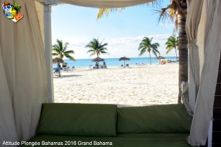 Bahamas lundi 8 février 2016 16:06:17 