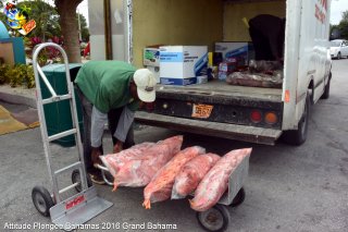 Bahamas mardi 9 février 2016 17:47:12 