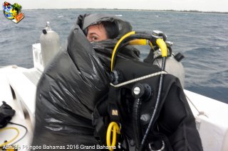 Bahamas mardi 9 février 2016 22:35:11 