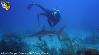 Bahamas dimanche 14 février 2016 09:39:09 