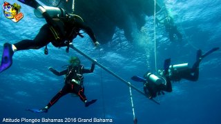 Bahamas lundi 8 février 2016 09:29:20 