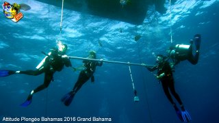 Bahamas lundi 8 février 2016 09:29:43 