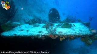 Bahamas samedi 13 février 2016 09:35:34 