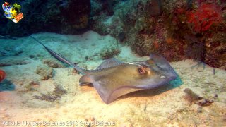 Bahamas dimanche 14 février 2016 09:40:32 