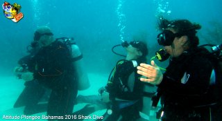 Bahamas mardi 16 février 2016 10:03:25 