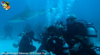 Bahamas mardi 16 février 2016 10:28:05 