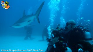 Bahamas mardi 16 février 2016 10:25:58 