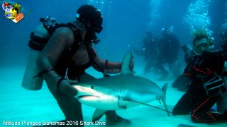 Bahamas mardi 16 février 2016 10:15:32 