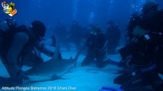 Bahamas mardi 16 février 2016 10:15:55 