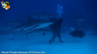 Bahamas mardi 16 février 2016 10:18:04 