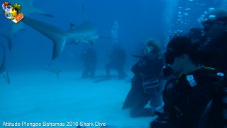 Bahamas mardi 16 février 2016 10:22:07 