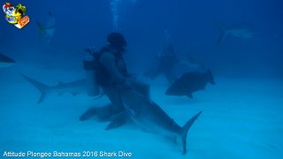 Bahamas mardi 16 février 2016 10:22:20 