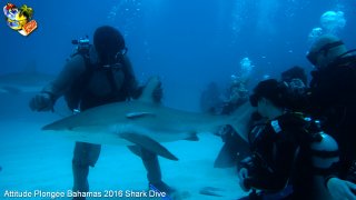 Bahamas mardi 16 février 2016 10:25:32 