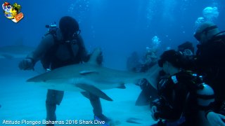 Bahamas mardi 16 février 2016 10:25:32 