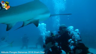 Bahamas mardi 16 février 2016 10:25:53 