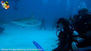 Bahamas mardi 16 février 2016 10:27:36 
