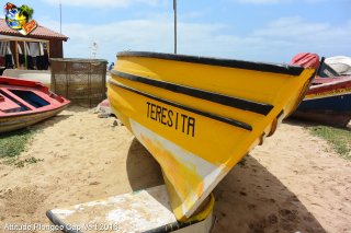 Cap-vert mercredi 6 avril 2016 14:01:51 