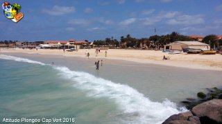 web-20160404_104452