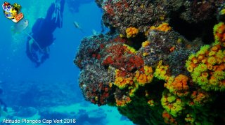 Cap-vert mardi 12 avril 2016 00:57:01 