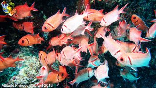 Cap-vert mardi 5 avril 2016 01:02:05 