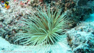 Cap-vert mardi 5 avril 2016 05:46:34 