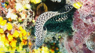 Cap-vert mardi 5 avril 2016 05:58:12 