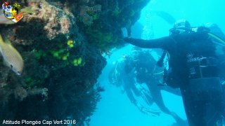 Cap-vert vendredi 8 avril 2016 06:16:39 