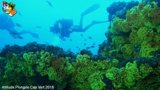 Cap-vert mardi 12 avril 2016 00:52:25 