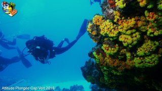 Cap-vert mardi 12 avril 2016 00:55:50 