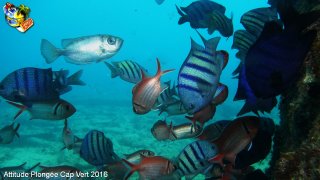 Cap-vert mercredi 13 avril 2016 06:24:53 