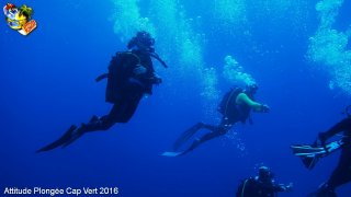Cap-vert jeudi 14 avril 2016 01:01:14 