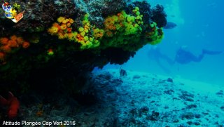 Cap-vert mardi 12 avril 2016 00:56:39 