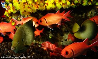 Cap-vert mardi 12 avril 2016 00:28:52 