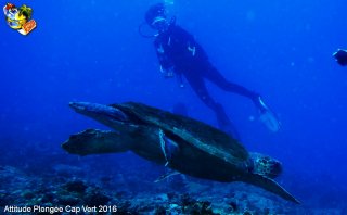 Cap-vert mardi 12 avril 2016 06:23:08 