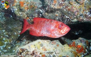 Cap-vert mardi 5 avril 2016 01:05:48 