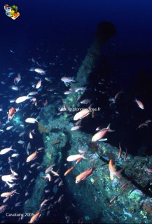 Cavalaire-sur-Mer