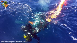Cavalaire-sur-Mer samedi 29 octobre 2016 11:18:42 