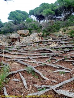 Cavalaire-sur-Mer mercredi 31 octobre 2018 14:31:21 