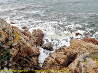 Cavalaire-sur-Mer mercredi 31 octobre 2018 14:22:43 