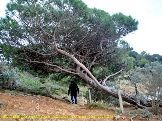 Cavalaire-sur-Mer mercredi 31 octobre 2018 14:24:27 