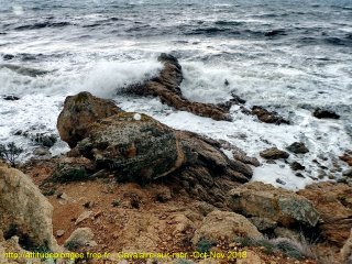 Cavalaire-sur-Mer mercredi 31 octobre 2018 14:54:11 