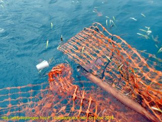Cavalaire-sur-Mer vendredi 2 novembre 2018 10:16:59 