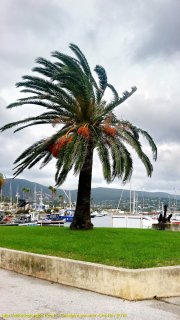 Cavalaire-sur-Mer lundi 5 novembre 2018 09:09:23 