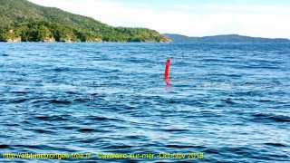 Cavalaire-sur-Mer mardi 30 octobre 2018 10:19:26 