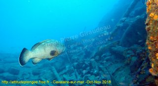 Cavalaire-sur-Mer dimanche 28 octobre 2018 12:46:00 