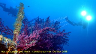 Cavalaire-sur-Mer mardi 30 octobre 2018 15:28:02 